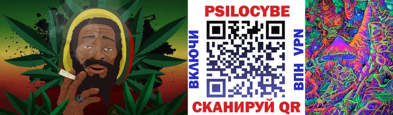 Псилоцибиновые грибы мицелий  дарнет шоп  shop клад  Себеж 